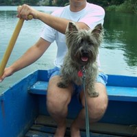 társkereső fénykép