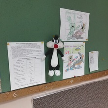 társkereső fénykép