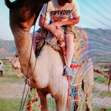 társkereső fénykép