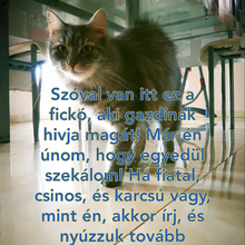 társkereső fénykép