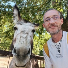 társkereső fénykép